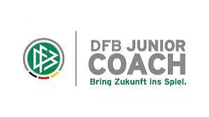 Die Liebigschule ist Partner des Deutschen Fußball-Bundes!
