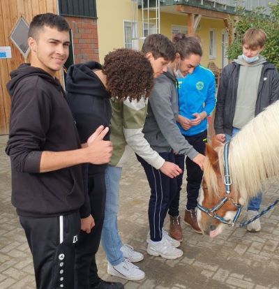 Sport-Leistungskurs auf vier Beinen