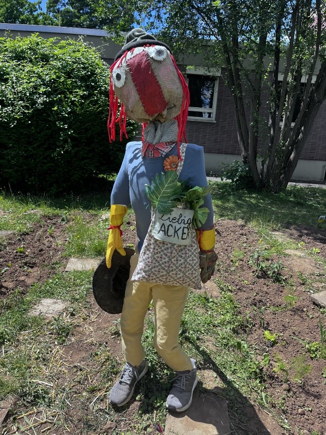 Gemeinsame Gartenarbeit mit viel Freude und Teamgeist